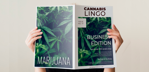 Photo for: Cannabis Lingo You Need To Know: Business Edition
