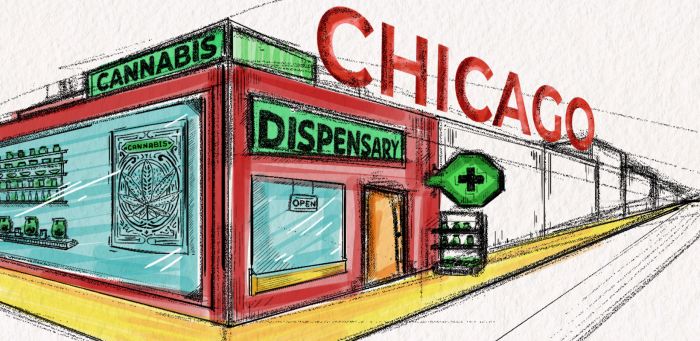 Photo for: Top Dispensaries in Chicago