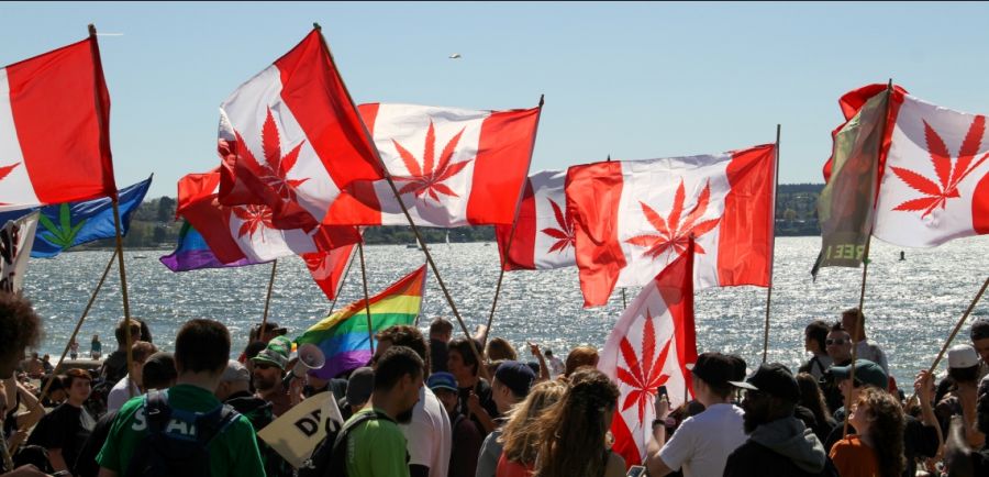 Photo for: Legal Laws on Cannabis, Every Canadian Should Know