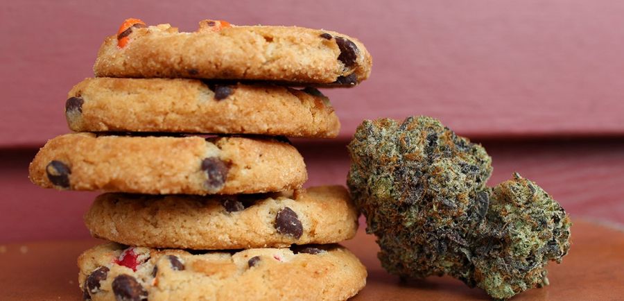 Photo for: How to Store Cannabis Edibles