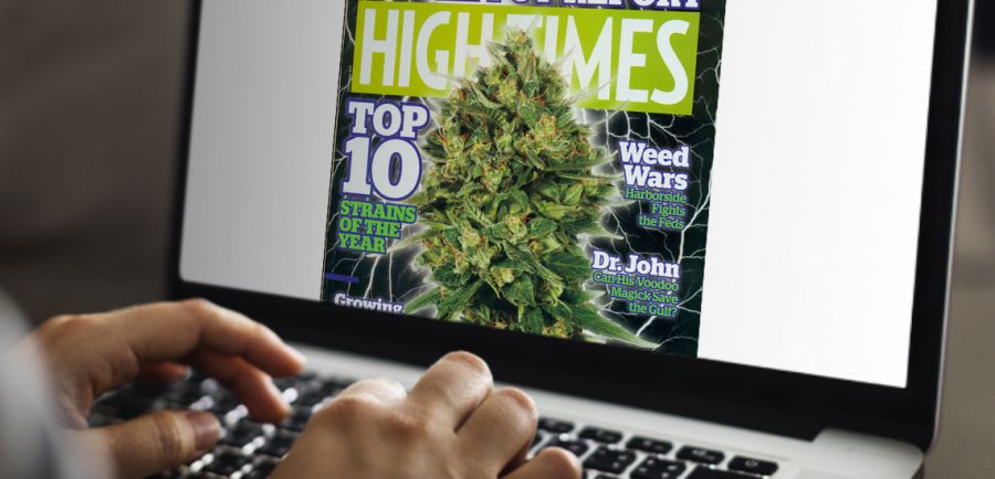 How to Get Paid for Running Your Marijuana Blog - OnBlastBlog