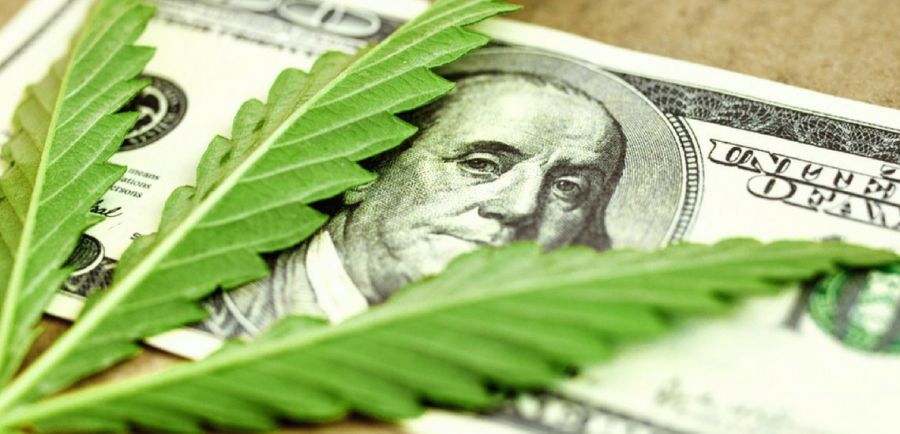 Photo for: American Cannabis: A Potential $90+ Billion Market