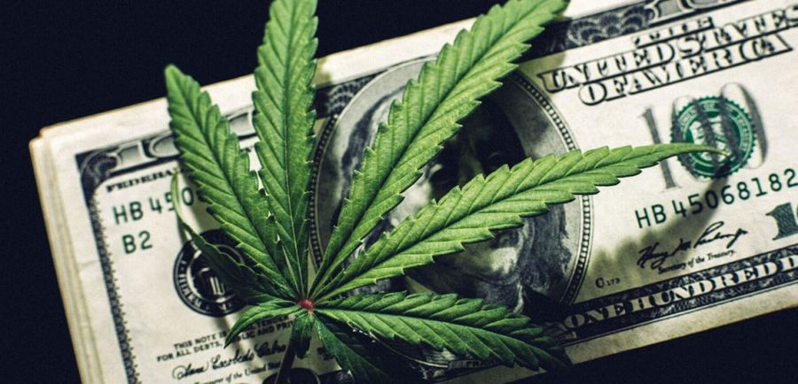 Photo for: Nielsen Says Legal Cannabis Sales in US to Touch $41 Billion