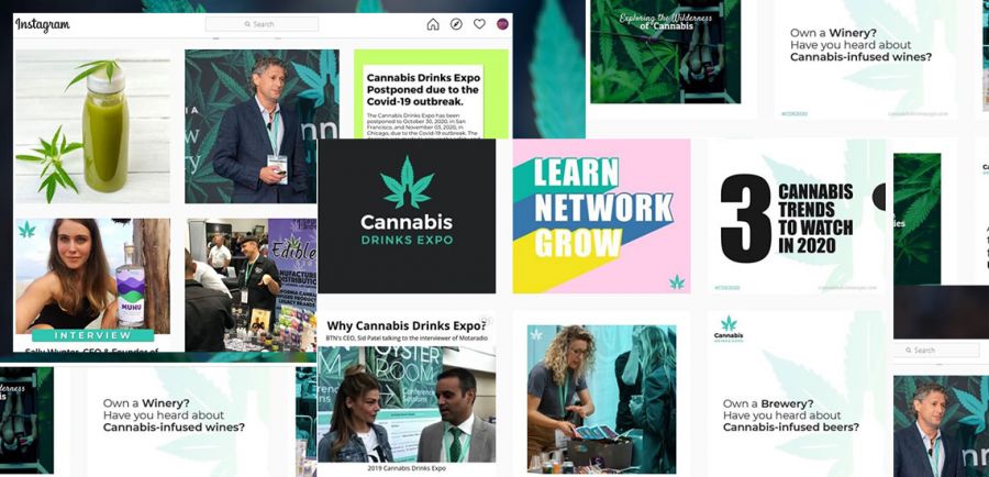 Photo for: Creating Content For Your Cannabis Drinks Brand