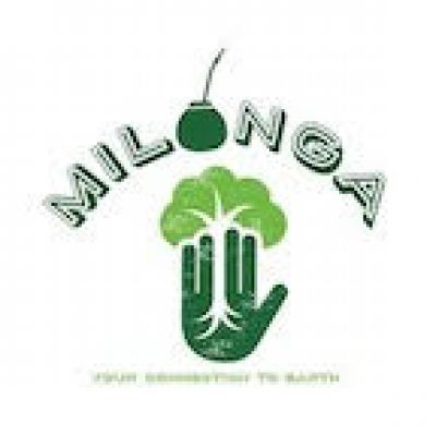 Logo for:  Milonga Yerba Mate